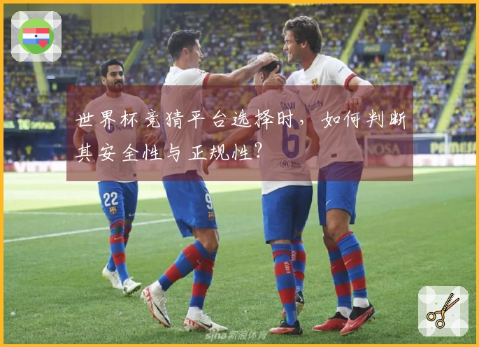 世界杯竞猜平台选择时，如何判断其安全性与正规性？