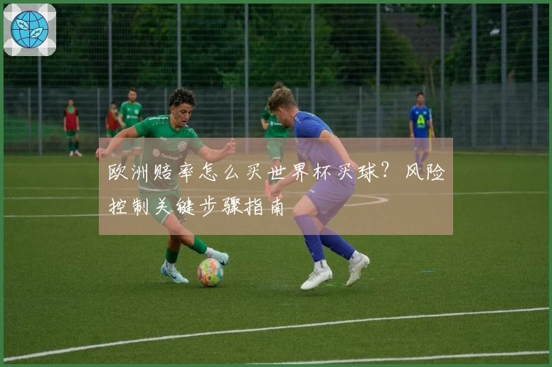 欧洲赔率怎么买世界杯买球？风险控制关键步骤指南